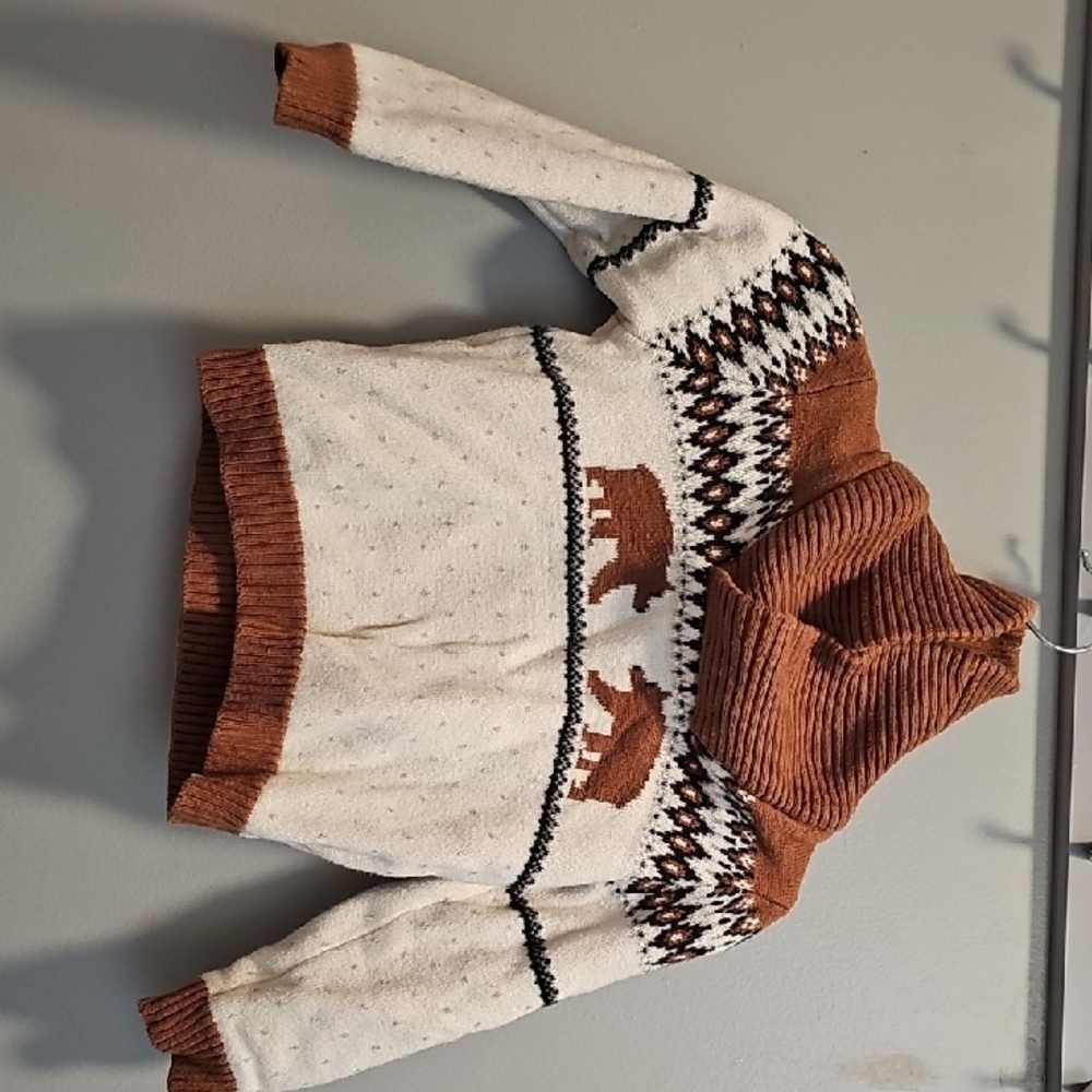 Cozy Brown and Cream Sweater
